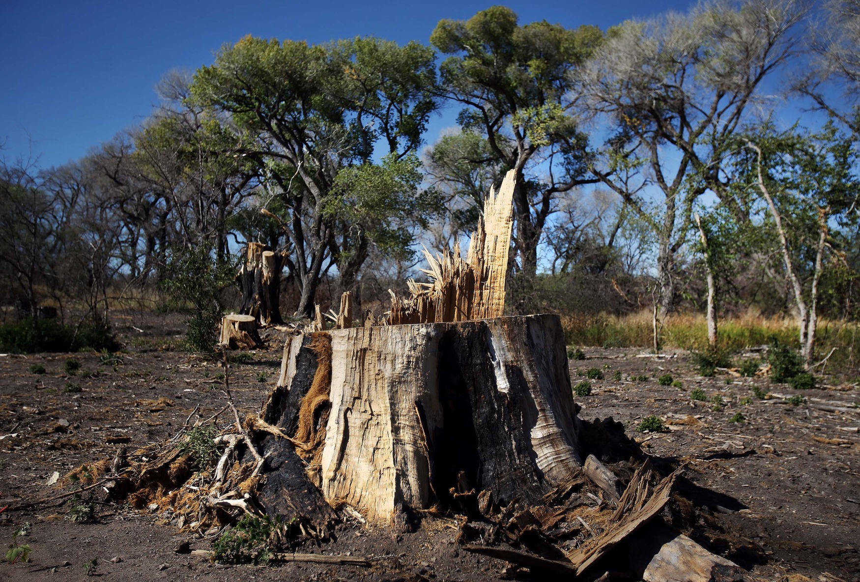 Historic Empire Ranch near Sonoita